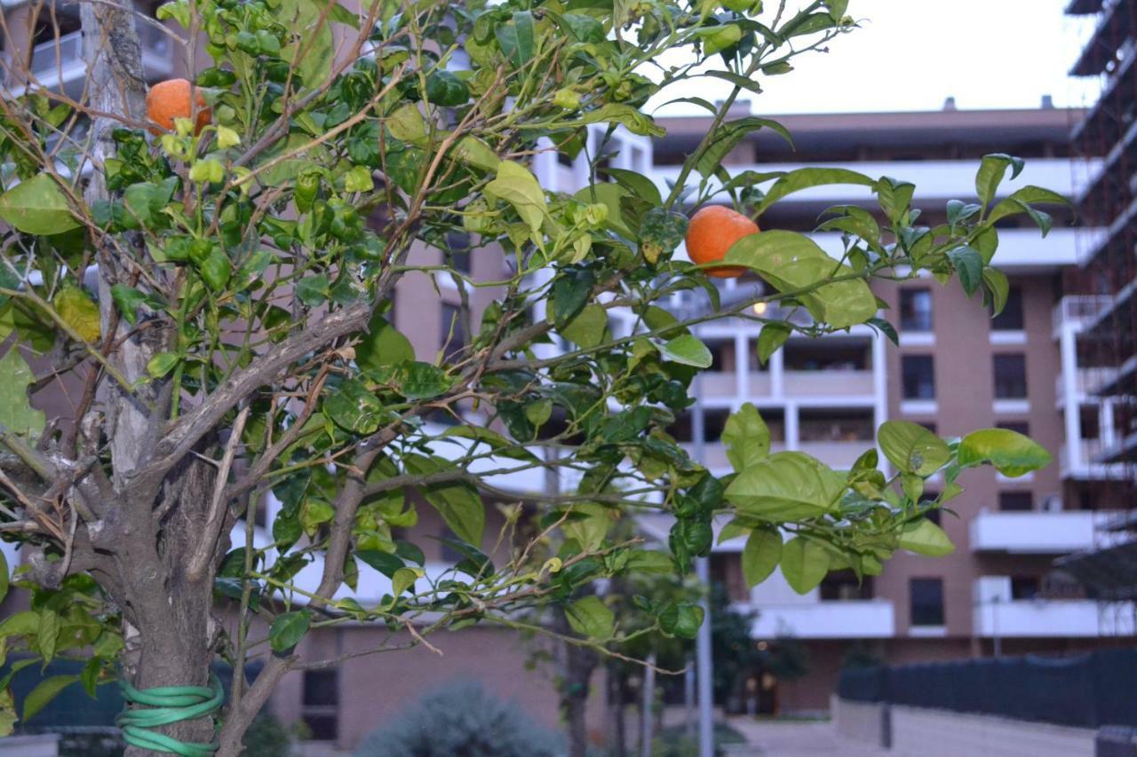 Airport & Fair Suite Apartments Fiumicino Bagian luar foto